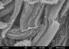 CSI701 series powder