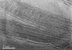 CSI601 series powder